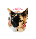 うぃんうぃんすたんぷ②（個別スタンプ：1）