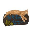 我が家のケモノ達（個別スタンプ：1）