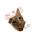 我が家のケモノ達（個別スタンプ：4）