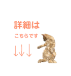 我が家のケモノ達（個別スタンプ：5）