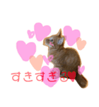 我が家のケモノ達（個別スタンプ：7）