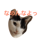 まるまる222（個別スタンプ：2）
