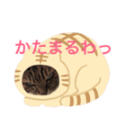 まるまる222（個別スタンプ：4）