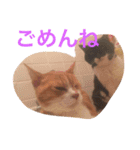 まるまる222（個別スタンプ：5）