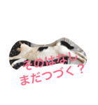 まるまる222（個別スタンプ：8）