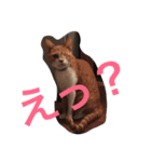 まるまる222（個別スタンプ：10）