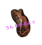 まるまる222（個別スタンプ：11）