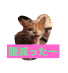 まるまる222（個別スタンプ：12）