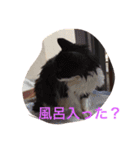 まるまる222（個別スタンプ：14）