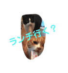 まるまる222（個別スタンプ：15）