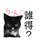 タキシードキャットのジジコさん（個別スタンプ：4）