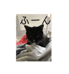 タキシードキャットのジジコさん（個別スタンプ：8）