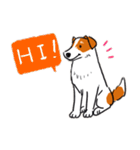 Every Day Dog Jack Russell Terrier（個別スタンプ：1）