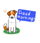 Every Day Dog Jack Russell Terrier（個別スタンプ：2）
