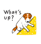 Every Day Dog Jack Russell Terrier（個別スタンプ：5）