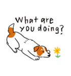 Every Day Dog Jack Russell Terrier（個別スタンプ：6）