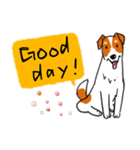 Every Day Dog Jack Russell Terrier（個別スタンプ：9）