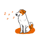 Every Day Dog Jack Russell Terrier（個別スタンプ：10）
