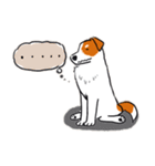 Every Day Dog Jack Russell Terrier（個別スタンプ：11）