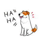 Every Day Dog Jack Russell Terrier（個別スタンプ：12）