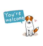 Every Day Dog Jack Russell Terrier（個別スタンプ：14）