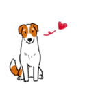 Every Day Dog Jack Russell Terrier（個別スタンプ：18）