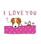 Every Day Dog Jack Russell Terrier（個別スタンプ：19）