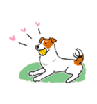 Every Day Dog Jack Russell Terrier（個別スタンプ：21）
