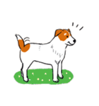 Every Day Dog Jack Russell Terrier（個別スタンプ：22）