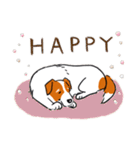 Every Day Dog Jack Russell Terrier（個別スタンプ：23）