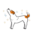 Every Day Dog Jack Russell Terrier（個別スタンプ：26）