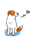 Every Day Dog Jack Russell Terrier（個別スタンプ：30）