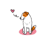 Every Day Dog Jack Russell Terrier（個別スタンプ：31）