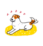 Every Day Dog Jack Russell Terrier（個別スタンプ：32）