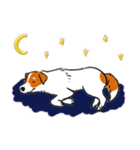 Every Day Dog Jack Russell Terrier（個別スタンプ：33）