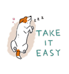 Every Day Dog Jack Russell Terrier（個別スタンプ：36）