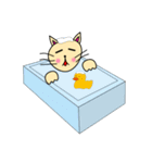 あんちゃんの小太郎（個別スタンプ：17）