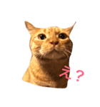 ピースだよ（個別スタンプ：4）