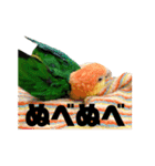 おししのスタンプ（個別スタンプ：9）