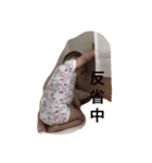 のもひなちゃん（個別スタンプ：4）
