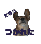 愛犬3兄弟＊もちたけみちまる（個別スタンプ：9）