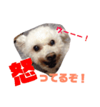 リルボーイ 3（個別スタンプ：1）