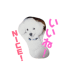 リルボーイ 3（個別スタンプ：4）