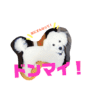 リルボーイ 3（個別スタンプ：6）