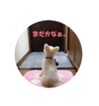 リルボーイ 3（個別スタンプ：7）