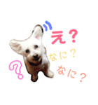 リルボーイ 3（個別スタンプ：16）