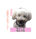 リルボーイ 3（個別スタンプ：19）