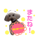 リルボーイ 3（個別スタンプ：20）