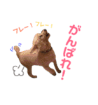 リルボーイ 3（個別スタンプ：28）