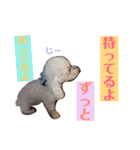 リルボーイ 3（個別スタンプ：29）